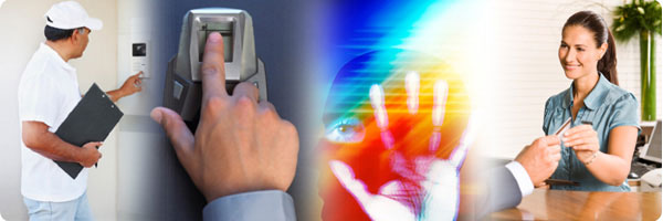 Security consulting